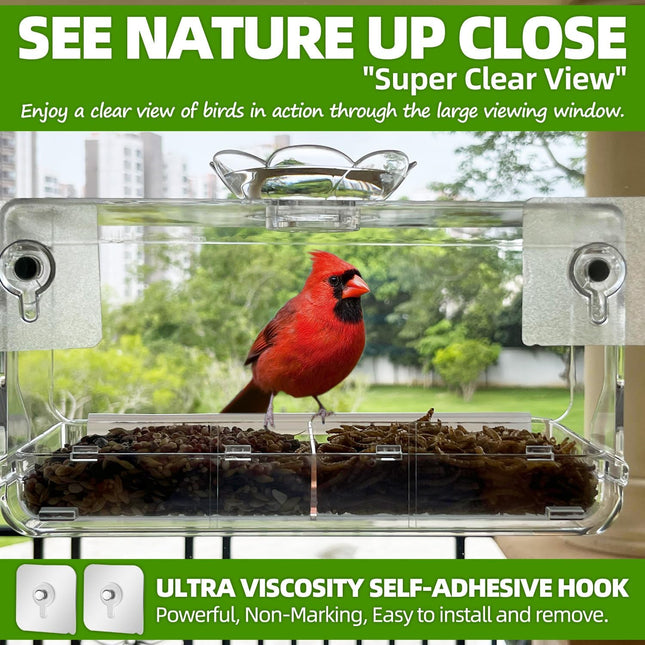 Window Bird Feeder – Clear, Transparent, Non-Marking Hooks for Wild Bird Watching