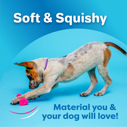 3 Pack DuraPlay Latex Dog Bones – Squeaky Toys for Medium Dogs