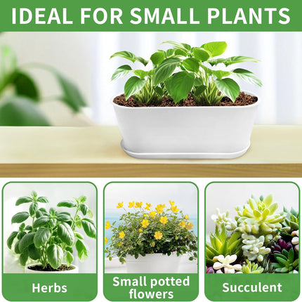 5-Pack White Window Herb Planter Boxes, 8.5-Inch Rectangular Plastic Pots Drainage Trays