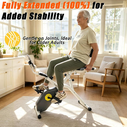 Foldable Magnetic Recumbent Exercise Bike, 8-Level Resistance, 300 Lb Capacity