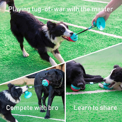 Dog Puzzle Toy & Tug of War, Treat Dispensing for Small/Medium Dogs & Puppies