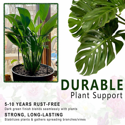 6 Pack Plant Support Stakes – Detachable Metal Rings for Tomatoes & Monstera (10" W x 16" H)