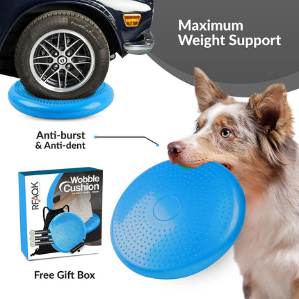 Stability Wobble Cushion with Pump and Bag for Core Balance and Exercise