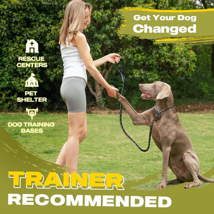 Durable Slip Lead Dog Leash 6FT Heavy Duty Reflective Rope Training Lead
