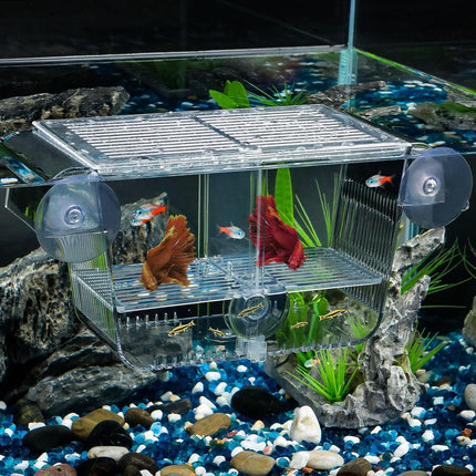 Medium Acrylic Aquarium Breeding Box Fish Hatchery Fry Shrimp Betta Isolation Tank