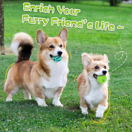 2 Pack Interactive Dog Puzzle Toys Treat Dispensing Ball for IQ Training