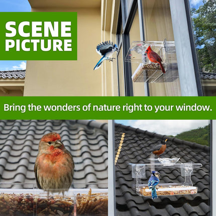 Window Bird Feeder – Clear, Transparent, Non-Marking Hooks for Wild Bird Watching