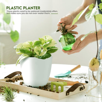 5 Pack Indoor Plant Pots with Drainage, Multi-Size White Plastic Planters Set