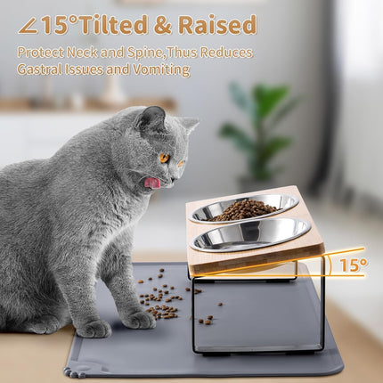 Elevated Cat Bowl Set with Food Mat Stainless Steel Raised Pet Dishes 15° Stand