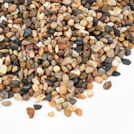 2.5 lbs Decorative Plant Gravel Pebbles 1/5 Inch Rocks Succulents, Pots and Terrariums