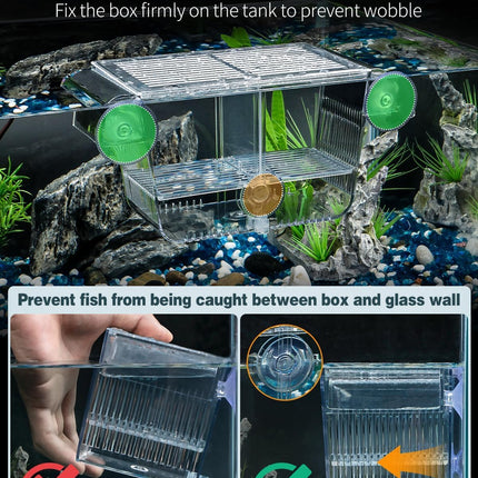 Medium Acrylic Aquarium Breeding Box Fish Hatchery Fry Shrimp Betta Isolation Tank