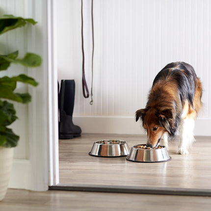 2-Pack Stainless Steel Dog Bowls, Non-Skid, 38oz Each, 10"x2.8"