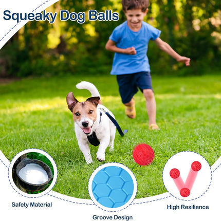Rubber Dog Balls for Large & Medium Dogs – 2-Pack Indestructible Chew Toys
