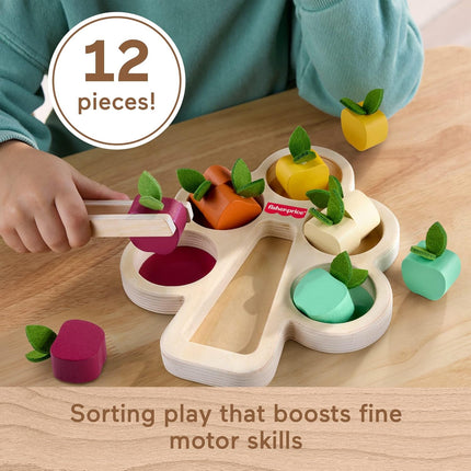 Montessori Wooden Sorting Tree – Educational Toy for Kids Ages 3+