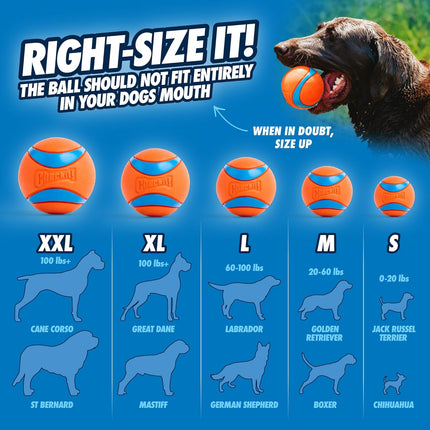Ultra Ball Dog Toy – Medium, Durable Rubber, Floating Fetch Balls, 4-Pack