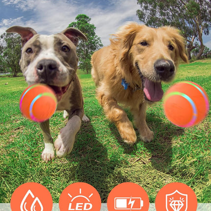 Interactive Rolling Dog Toy – Motion Activated, Bouncing & Vibrating, USB Rechargeable