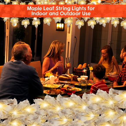 Autumn Fall Leaf Garland – 2 Pack, 20ft, 40 LED, Battery-Operated Indoor & Outdoor Decor