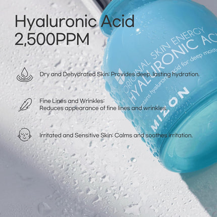 Hyaluronic Acid 100 Serum – Deep Hydration, Plumping, Skin Barrier Support