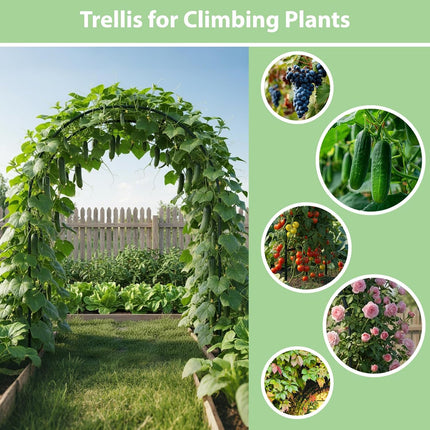 7.8ft Metal Garden Arch Trellis for Climbing Plants Outdoor Wedding Arbor Black