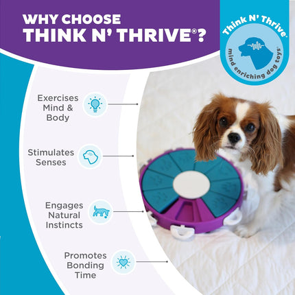 Nina Ottosson Dog Twister Interactive Treat Puzzle Toy Level 3 Advanced