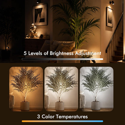 5W LED Indoor Spotlight with Remote 3CCT Dimmable Plant Uplight 6.56Ft Cord