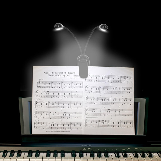 LED Book Light for Musicians – Clip-On, USB/AAA, Dual Arm, 4 Brightness Levels