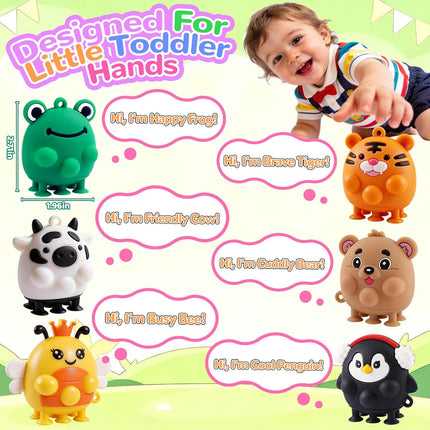 6 Piece Silicone Fidget Sensory Toys for Babies Toddlers Learning Play