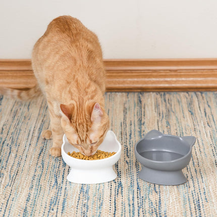 Modern Elevated Cat Bowl Set White Gray Raised Food Water Dishes for Cats
