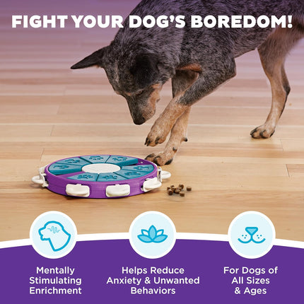 Nina Ottosson Dog Twister Interactive Treat Puzzle Toy Level 3 Advanced