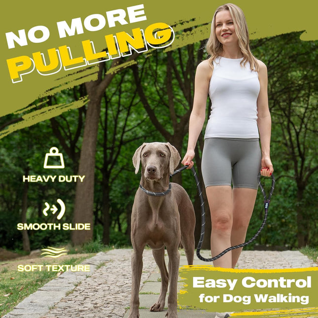 Durable Slip Lead Dog Leash 6FT Heavy Duty Reflective Rope Training Lead