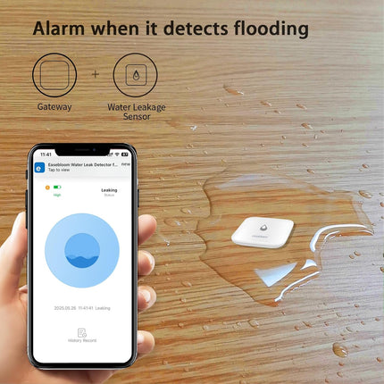 4-Pack Smart Water Leak Detector with Hub & App Alerts for Home