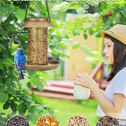 Solar Bird Feeder – Metal Hanging Feeder for Cardinals & Wild Birds