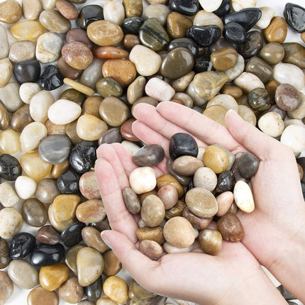 Pebbles Polished Gravel – Natural Mixed Color River Rocks, 2 lbs, 0.5–1.2"