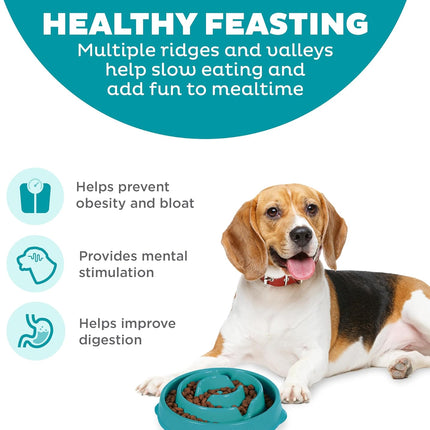 Fun Feeder Slo Bowl for Small to Medium Dogs & Cats, 2-Cup Capacity (Turquoise)