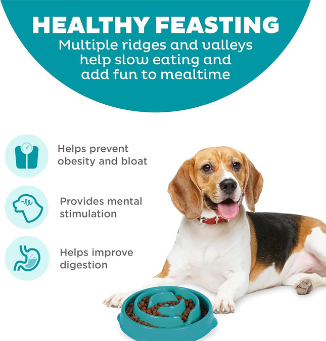 Fun Feeder Slo Bowl for Small to Medium Dogs & Cats, 2-Cup Capacity (Turquoise)