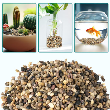 2.5 lbs Decorative Plant Gravel Pebbles 1/5 Inch Rocks Succulents, Pots and Terrariums
