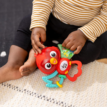 Roxys Bright Flight Musical Baby Toy – Teether & Bird Sounds, 3+ Months