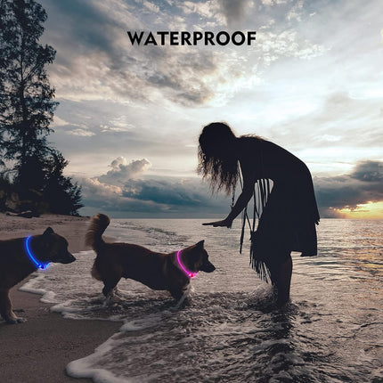LED Dog Collar – Rechargeable, Waterproof Light-Up Collar for Night Walking (Blue)