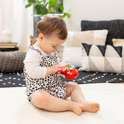 Roxys Bright Flight Musical Baby Toy – Teether & Bird Sounds, 3+ Months