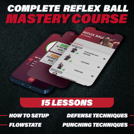 Boxing Reflex Ball Set – 4 Weighted Balls, Headband & Punch Counter App