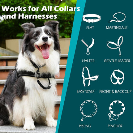 Dog Collar Safety Clip Backup Strap Double Ended Clasp Leash Connector Black