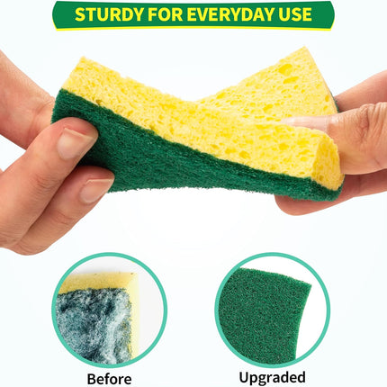 24-Pack Heavy Duty Scrub Sponge – Eco Cellulose for Dishes & Household Cleaning
