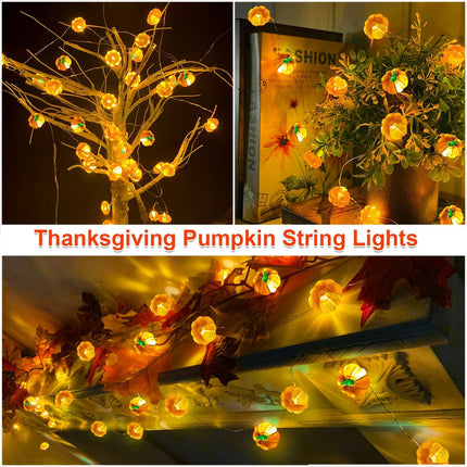 2-Pack 13FT 40LED 3D Pumpkin String Lights, Warm White Fall & Thanksgiving Decor