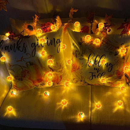 2-Pack 13FT 40LED 3D Pumpkin String Lights, Warm White Fall & Thanksgiving Decor