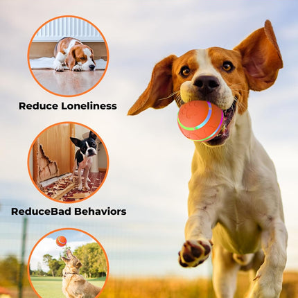 Interactive Rolling Dog Toy – Motion Activated, Bouncing & Vibrating, USB Rechargeable
