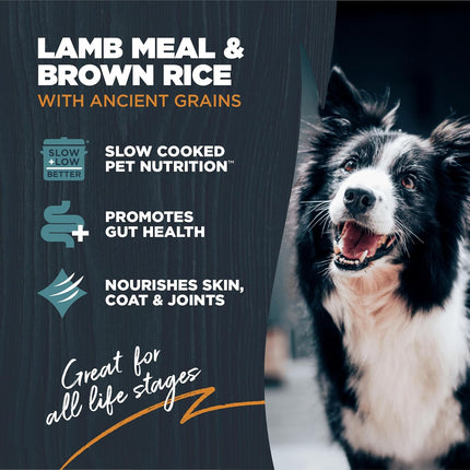 Sensitive Skin & Stomach Dog Food – Lamb & Brown Rice with Prebiotics (4.5 lb)