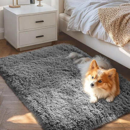 Small Grey Non-Slip Rug – Fluffy 2x3 Mini Carpet for Bedroom, Entryway & Nursery