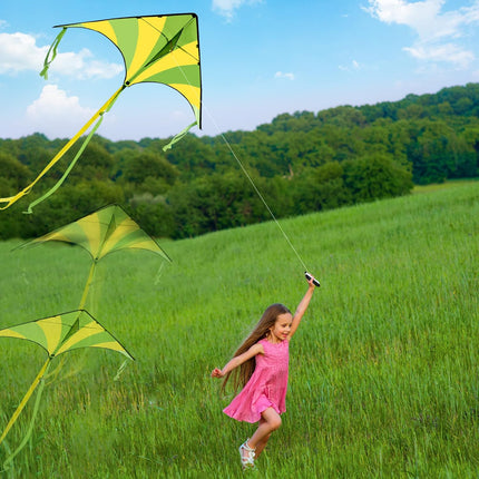 3 Pack Large Delta Rainbow Kites Easy to Fly Beach Toy for Kids & Adults