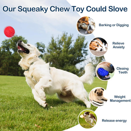 Rubber Dog Balls for Large & Medium Dogs – 2-Pack Indestructible Chew Toys