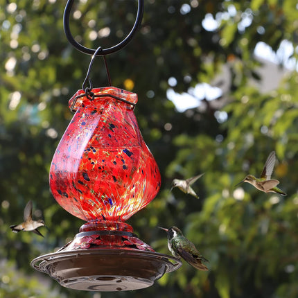Hummingbird Feeder – Hand Blown Glass, 5 Ports with Ant Moat, 22oz